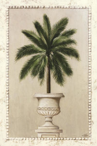 Welby - Palm Appeal I