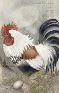 Alma Lee - Coat Of Many Colors Rooster