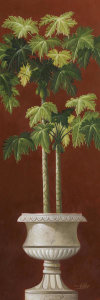 Welby - Potted Palm Red I