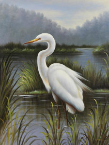 Kilian - Morning Egret