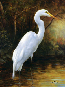 Kilian - Evening Egret