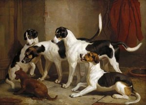 Thomas Woodward - The Puckeridge Foxhounds