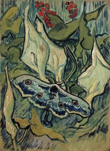 Vincent Van Gogh - Emperor Moth