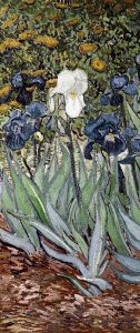 Vincent van Gogh - Irises (left)
