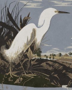 BG.Studio - Audubon Decor - Snowy Egret