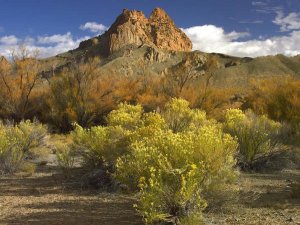Tim Fitzharris - Mitten Rock, New Mexico