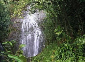 Tim Fitzharris - Waterfall along Hana coast, Maui, Hawaii