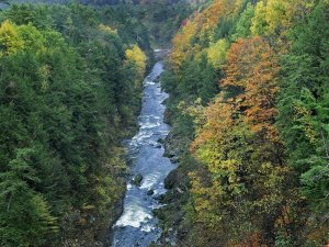 Tim Fitzharris - Ottauquechee River and Quechee Gorge, Vermont