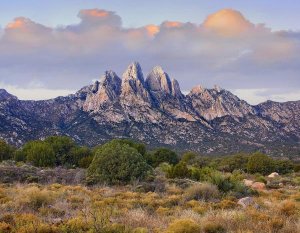 Tim Fitzharris - Organ Mountains, Chihuahuan Desert, New Mexico