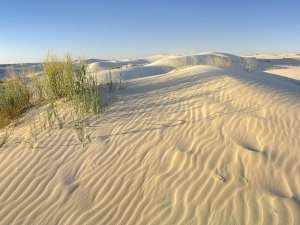Tim Fitzharris - Sand dunes, Monahans Sandhills State Park, Texas