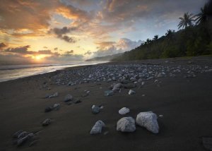 Tim Fitzharris - Rocks on beach, Corcovado National Park, Costa Rica