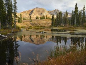Tim Fitzharris - Ruby Range reflected in pond, Raggeds Wilderness, Colorado