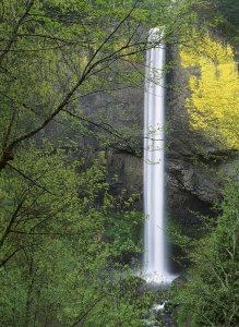 Tim Fitzharris - Latourell Falls, Columbia River Gorge near Portland, Oregon