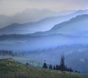 Tim Fitzharris - Mist over Absaroka Range, Yellowstone National Park, Wyoming
