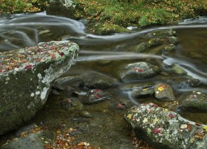 Tim Fitzharris - Laurel Creek, Great Smoky Mountains National Park, Tennessee