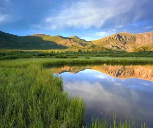 Tim Fitzharris - Mount Bierstadt from Guanella Pass reflected in pond, Colorado
