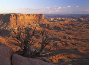 Tim Fitzharris - View from Green River overlook, Canyonlands National Park, Utah