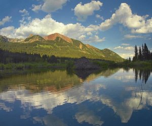 Tim Fitzharris - Avery Peak reflected in beaver pond, San Juan Mountains, Colorado