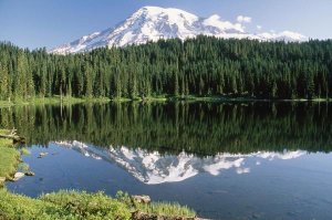 Tim Fitzharris - Mt Rainier reflected in lake, Mt Rainier National Park, Washington