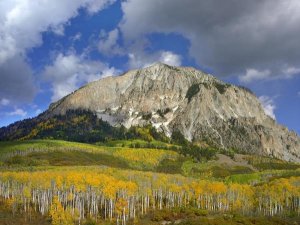 Tim Fitzharris - Marcellina Mountain and aspen forest in Raggeds Wilderness, Colorado