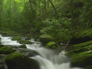Tim Fitzharris - Roaring Fork River flowing through the Great Smoky Mountains National Park, Tennessee