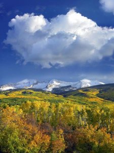 Tim Fitzharris - East Beckwith Mountain flanked by fall colored Aspen forests under cumulus clouds, Colorado