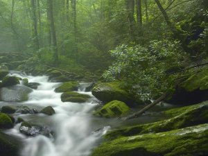 Tim Fitzharris - Roaring Fork River flowing through forest in Great Smoky Mountains National Park, Tennessee