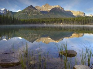 Tim Fitzharris - Bow Range and boreal forest reflected in Herbert Lake, Banff National Park, Alberta, Canada