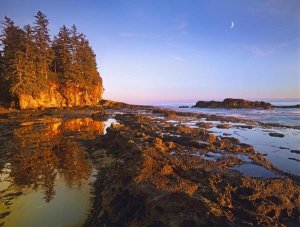 Tim Fitzharris - Tidepools exposed at low tide, Botanical Beach, Juan de Fuca Provincial Park, Vancouver Island, British Columbia, Canada