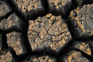 Vincent Grafhorst - Cracked, dried out mud, Mokolodi Nature Reserve, Botswana