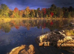 Tim Fitzharris - Lang Lake, fall colors, Ontario, Canada