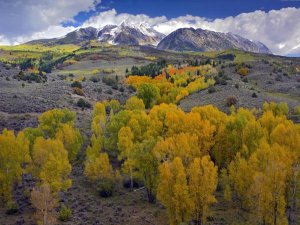 Tim Fitzharris - Fall colors at Chair Mountain, Colorado