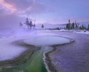 Tim Fitzharris - Hot spring, Upper Geyser Basin, Yellowstone National Park, Wyoming