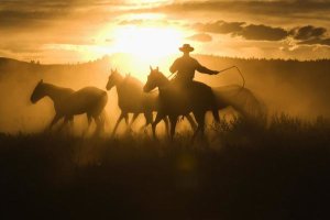 Konrad Wothe - Cowboy with lasso herding Horses at sunset, Oregon