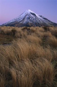 Shaun Barnett - Mount Taranaki at dusk, Mount Egmont National Park, New Zealand