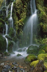 Jim Harding - Waterfall cascading over mossy rocks, Tongariro NP, New Zealand
