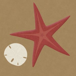 BG.Studio - Summer Fun: Starfish