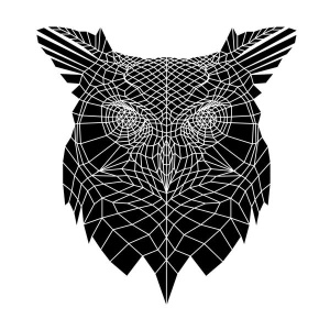 NAXART Studio - Black Owl Head Mesh