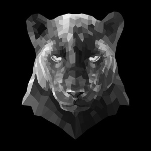 NAXART Studio - Black Panther