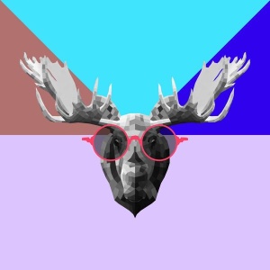 NAXART Studio - Party Moose in Glasses