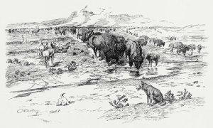 Charles M. Russell - Nature's Cattle, 1899