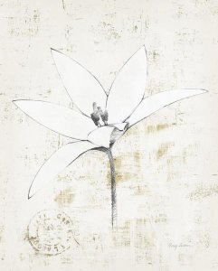 Avery Tillmon - Pencil Floral XII Gold