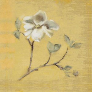 Cheri Blum - Dogwood Blossom on Gold