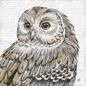 Daphne Brissonnet - Beautiful Owls I