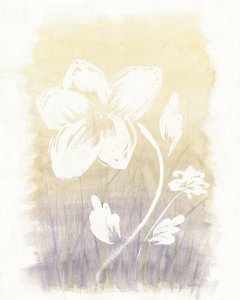 Elyse DeNeige - Floral Silhouette II