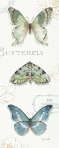 Lisa Audit - My Greenhouse Butterflies VI