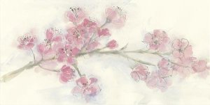 Chris Paschke - Cherry Blossom I