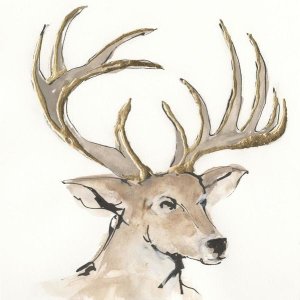Chris Paschke - Gilded Mule Deer