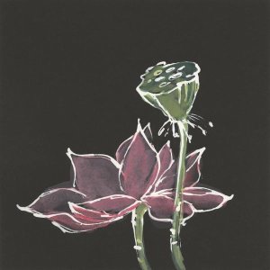 Chris Paschke - Lotus on Black III