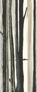 Chris Paschke - Through the Trees I